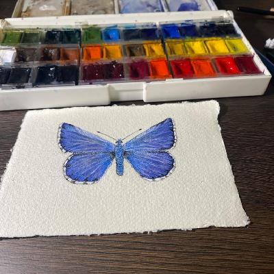 WATERCOLOUR BUTTERFLY 1