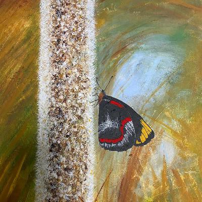 ACRYLIC BUTTERFLY