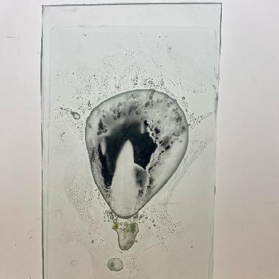 SEAWEED AND GLASS 2