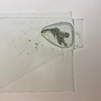 SEAWEED AND GLASS 3