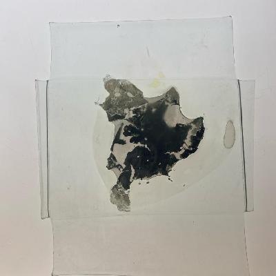 SEAWEED AND GLASS 6